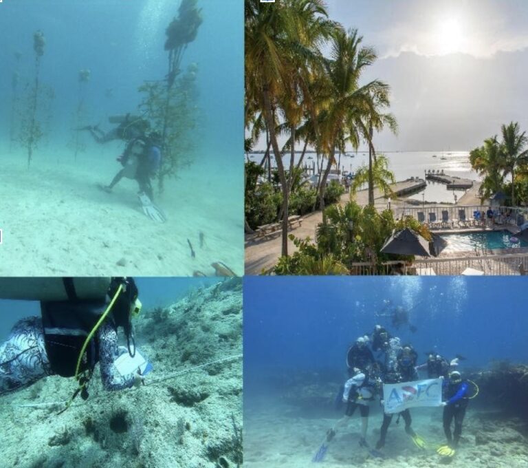 Key Largo/Islamorada June 16 23, 2024 Aquarium Divers For Coral